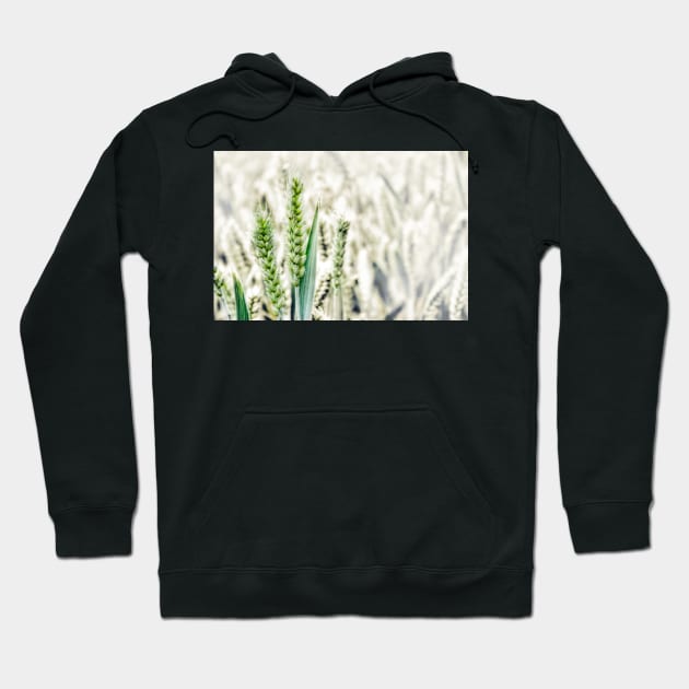 Wheat Fields Hoodie by InspiraImage